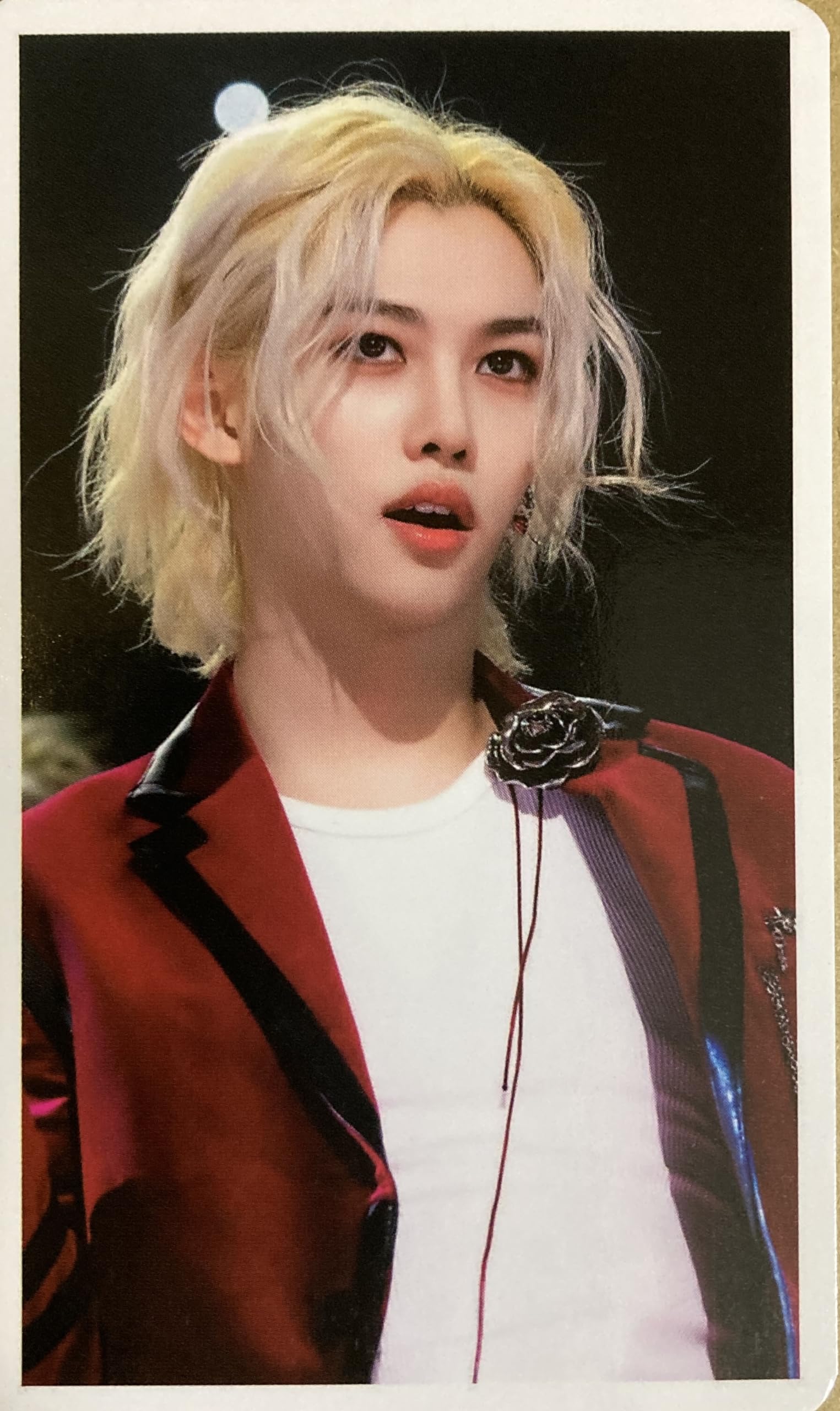 Amazon.co.jp: フィリックス グッズ フォトカード 60枚セット ポカ