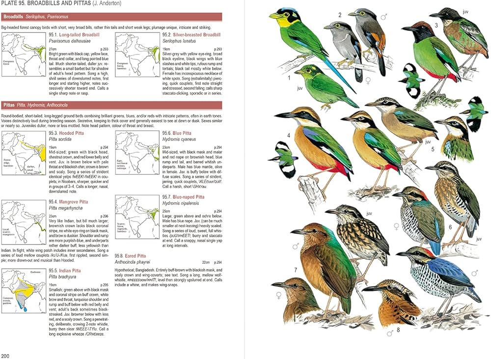 Amazon | Birds of South Asia: The Ripley Guide | Rasmussen, Pamela