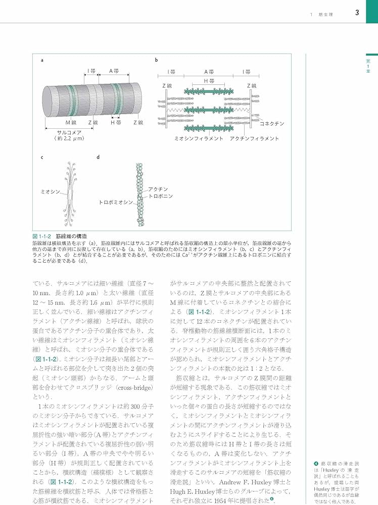 Amazon.co.jp: スポーツ科学概論 (アスレティックトレーナー専門基礎