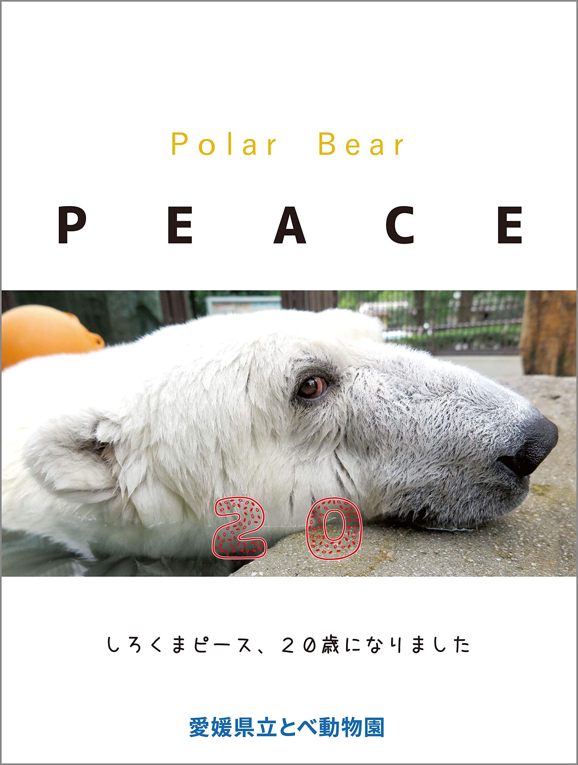 Amazon.co.jp: Polar Bear PEACE 20 : 愛媛県立とべ動物園: 本