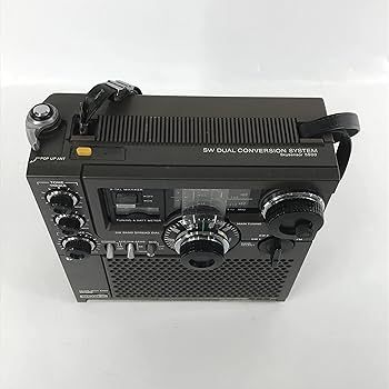 81JqdETxZ1L._AC_UF350,