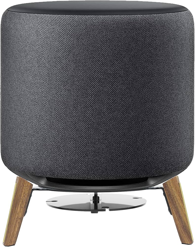 Amazon.com: Alloery Universal Echo Sub Subwoofer Desktop Stand