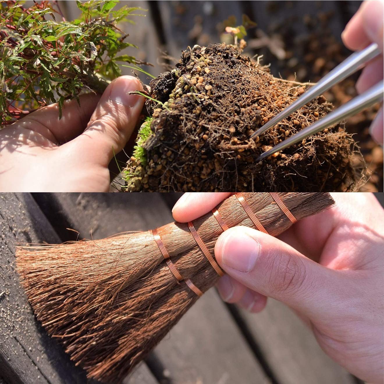 Amazon.co.jp: KAKURI 日本製 盆栽道具セット 7本 日本製 プロ仕様