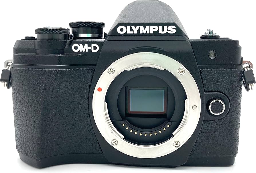 Amazon.com : Olympus OM-D E-M10 Mark III Micro Four Thirds System