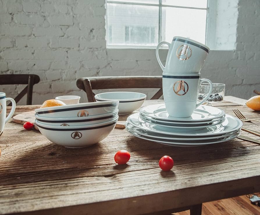 Amazon.com | Star Trek: Picard 25th Century 16-Piece Ceramic