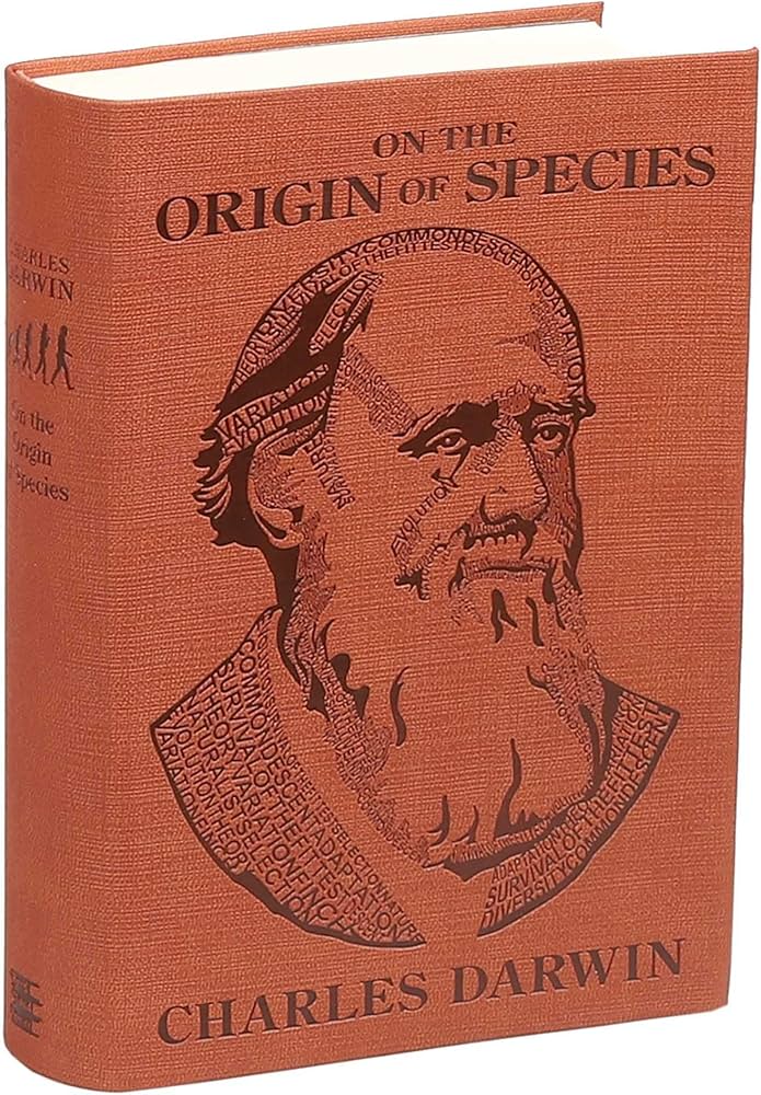 81LKtJ5cr-L._AC_UF1000,