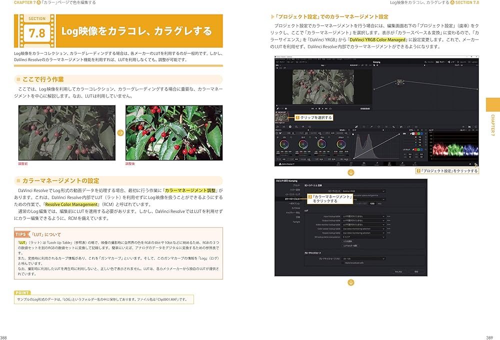 DaVinci Resolve 17 デジタル映像編集 パーフェクトマニュアル | 阿部