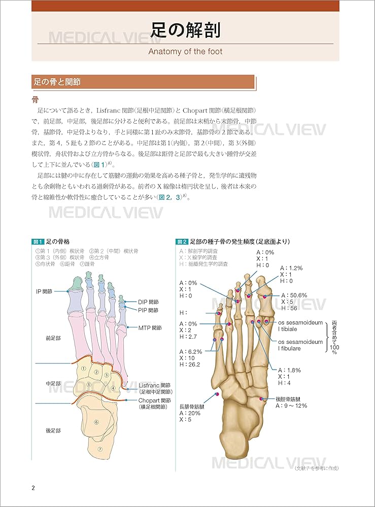 図説 足の臨床−第4版 | 高倉 義典, 田中 康仁, 谷口 晃 |本 | 通販