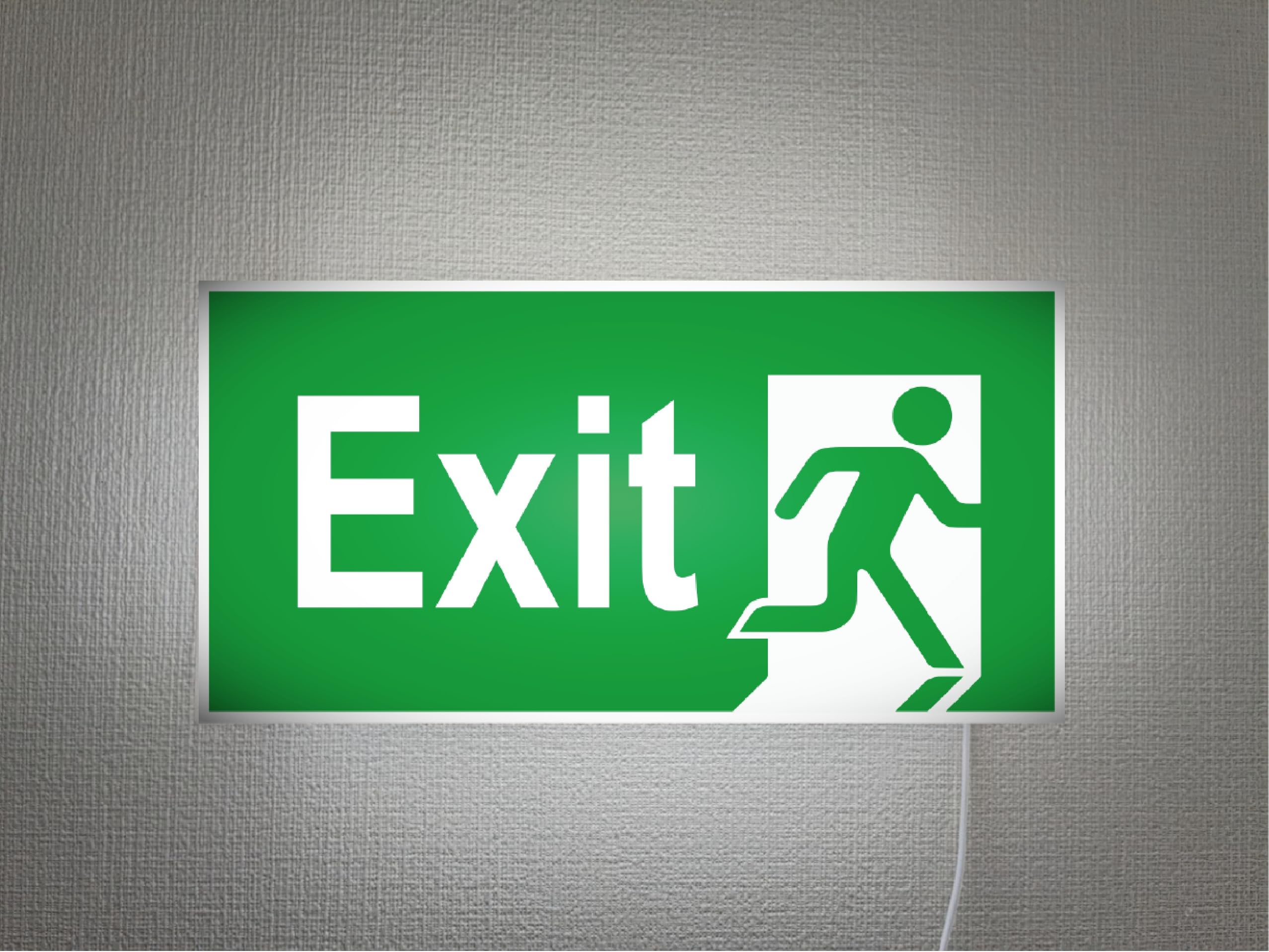 Amazon | 【Lサイズ 壁掛け】EXIT 非常口 出口 避難灯 アメリカン