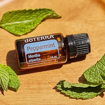 Amazon.com: doTERRA Peppermint Essential Oil - 15ml : Health