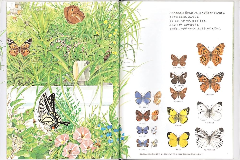 夏の虫 夏の花 645種の身近な生きものの世界 (福音館の科学シリーズ