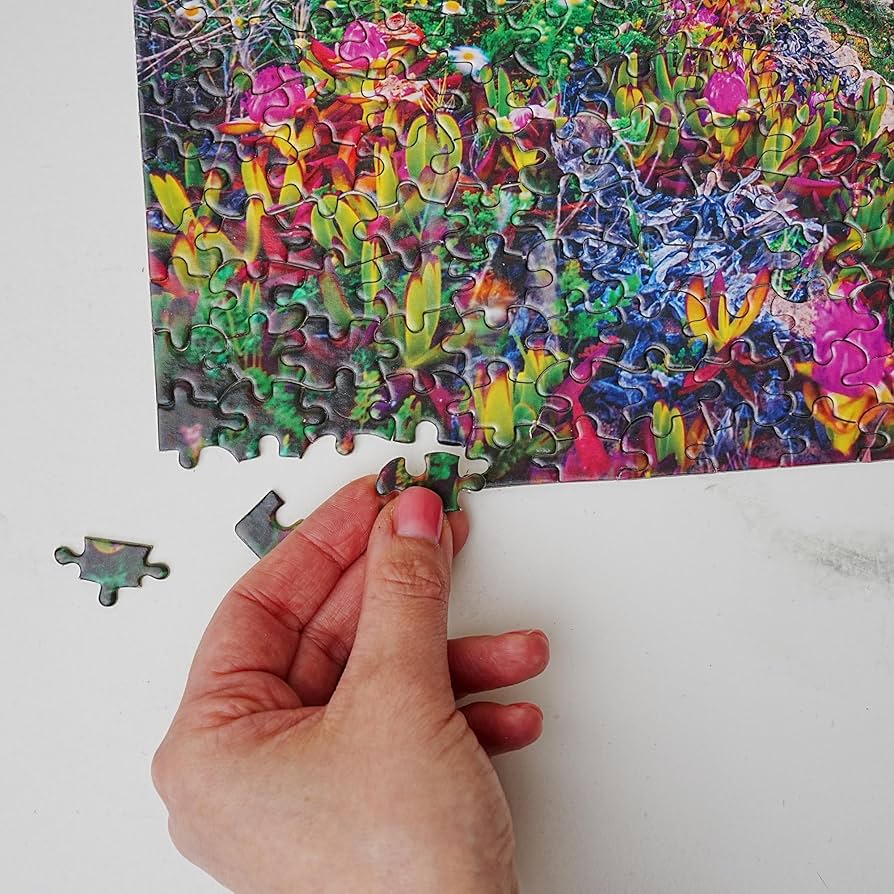 Amazon.com: Pink Sky Beach 500 Piece Natures Beauty Jigsaw Puzzle