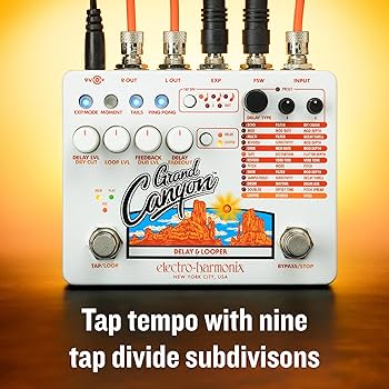 Amazon.com: Electro-Harmonix Grand Canyon Delay & Looper Pedal