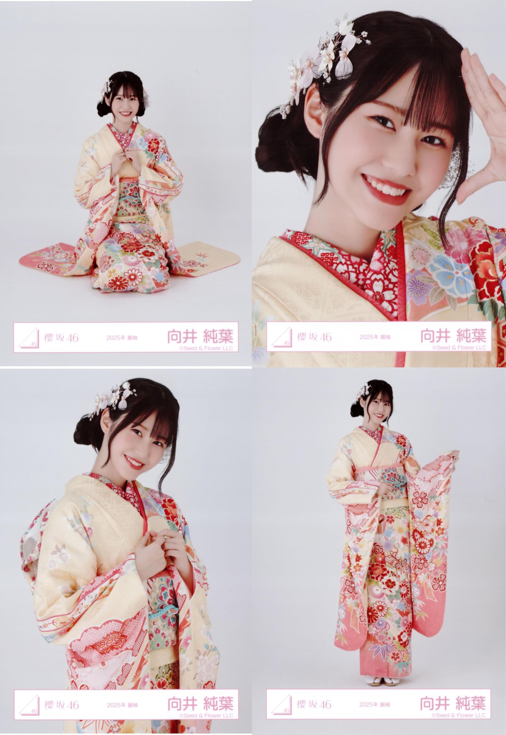 Amazon.co.jp: 櫻坂46 生写真 2025年 振袖 4種コンプ 向井純葉