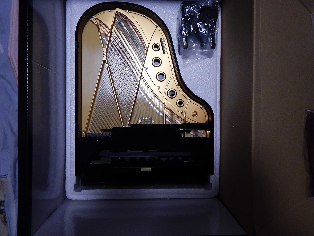 Amazon.co.jp: セガトイズ グランドピアニスト プラス : おもちゃ