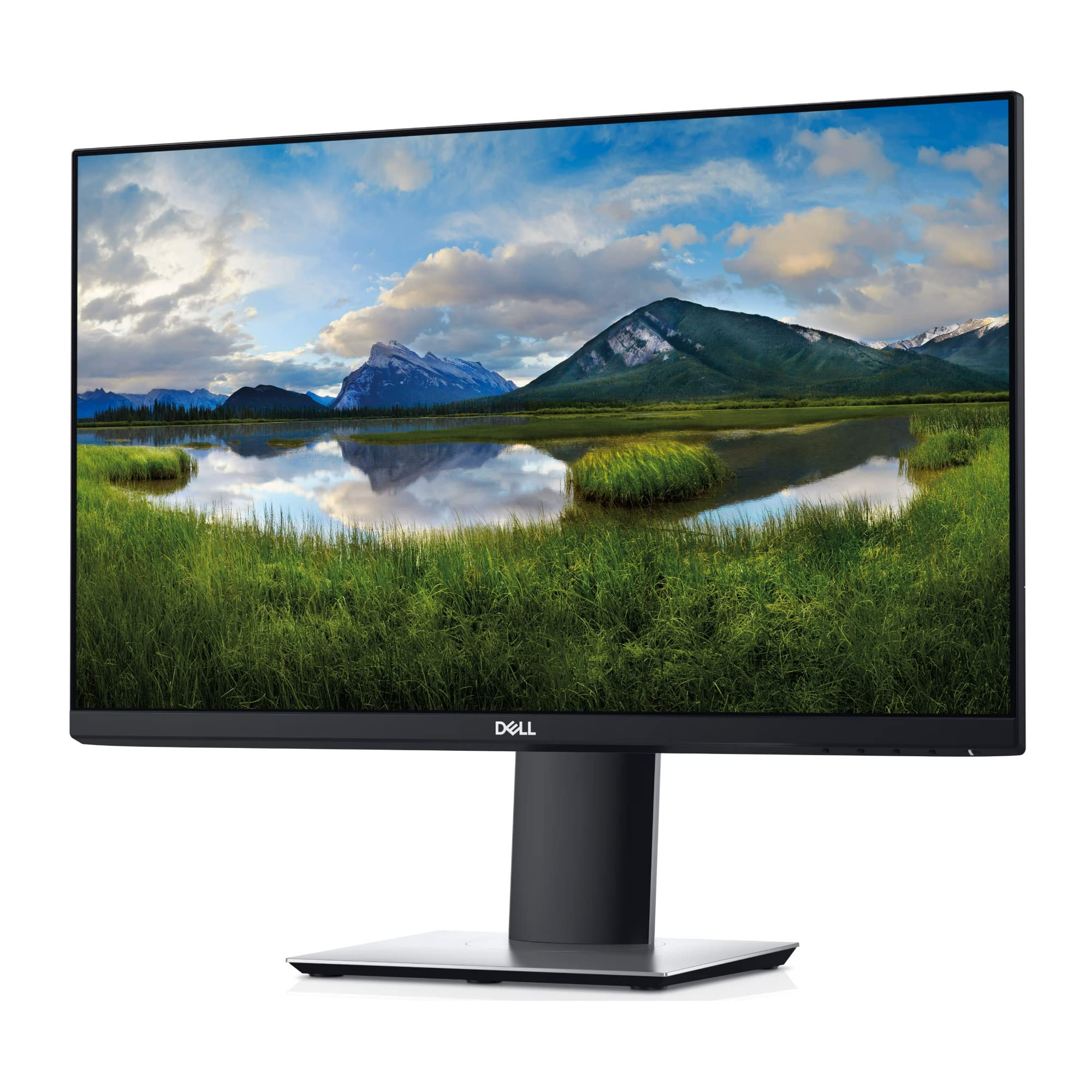 Amazon.com: DELL 23in PROFESSIONAL P2319H 1920X1080 IPS LED-LIT