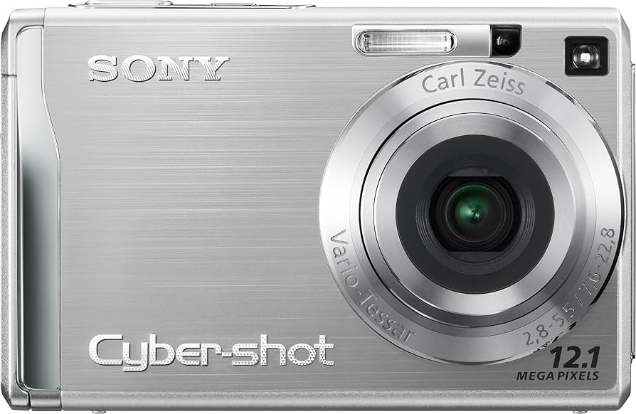 Amazon.com : Sony Cybershot DSCW200 12.1MP Digital Camera with 3x