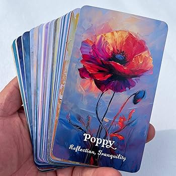 Amazon.co.jp: フラワーメディシンオラクルデッキ、癒し、成長、愛