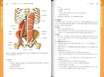 筋骨格系のオステオパシー: 基礎と実践をひとつにまとめたわかりやすい