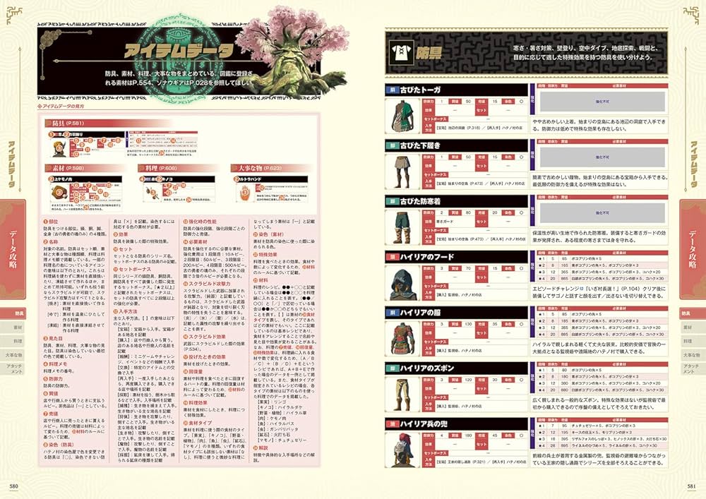 Amazon.co.jp: ゼルダの伝説 ティアーズ オブ ザ キングダム ザ