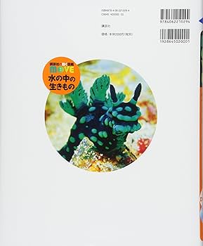 81T8y9Yki-L._AC_UF350,