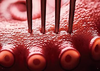 たこ88 | 樟 陽介, 西部裕介 |本 | 通販 | Amazon