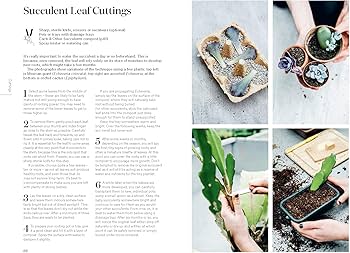 Root, Nurture, Grow: The Essential Guide to Propagating and