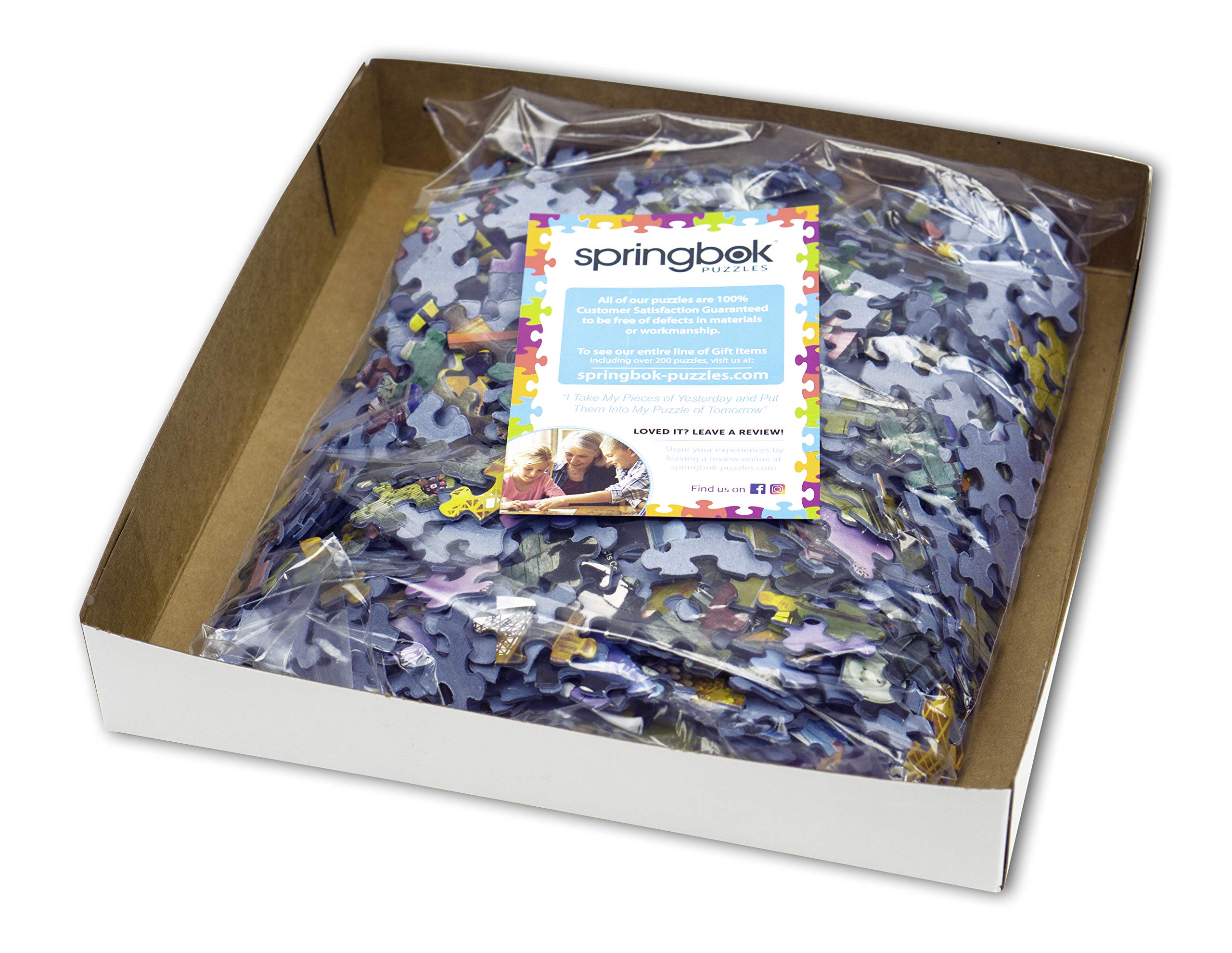 Amazon.com: Springbok's 1000 Piece Jigsaw Puzzle American Made