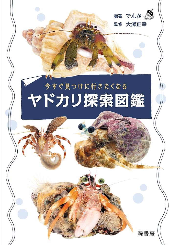 今すぐ見つけに行きたくなるヤドカリ探索図鑑 | でんか, 大澤 正幸 |本