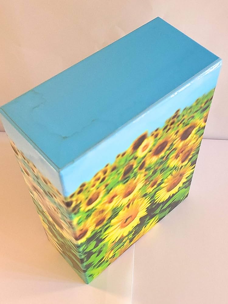 Amazon.co.jp: いま、会いにゆきます DVD-BOX 〈初回限定生産〉 : 竹内