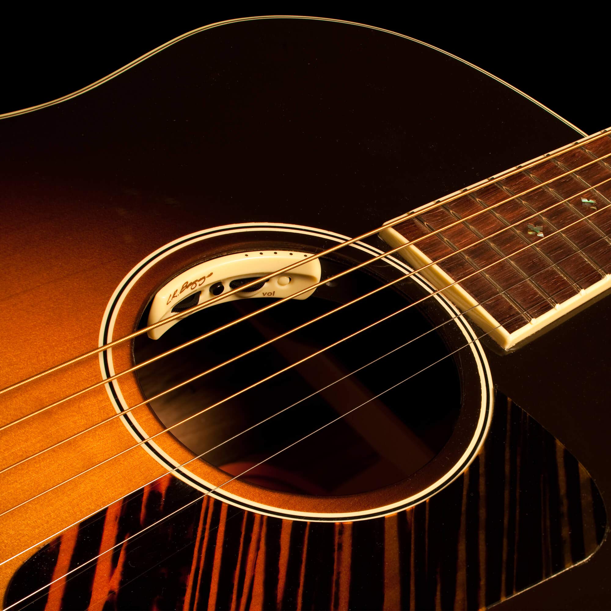 Amazon.co.jp: L.R. Baggs ANTHEM Acoustic Guitar Pickup : 楽器