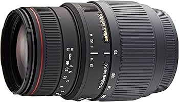 Amazon.co.jp: SIGMA 望遠ズームレンズ APO 70-300mm F4-5.6 DG MACRO