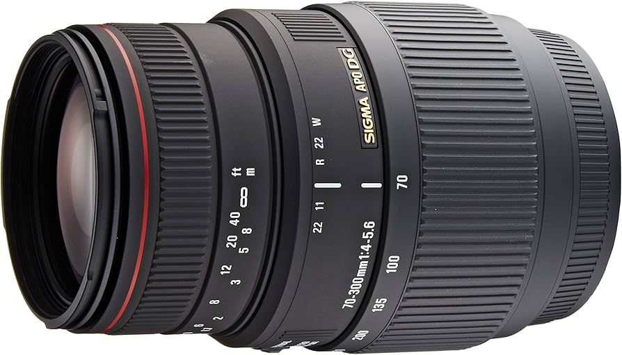 81Vi2se0VKL._AC_UF894,