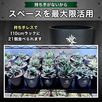 Amazon.co.jp: Kaiju Plant 怪獣ポットEco4.5 スリット鉢 4.5号 麦わら