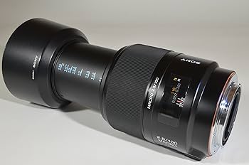 Amazon.co.jp: SONY 100mm F2.8 Macro SAL100M28 : 家電＆カメラ