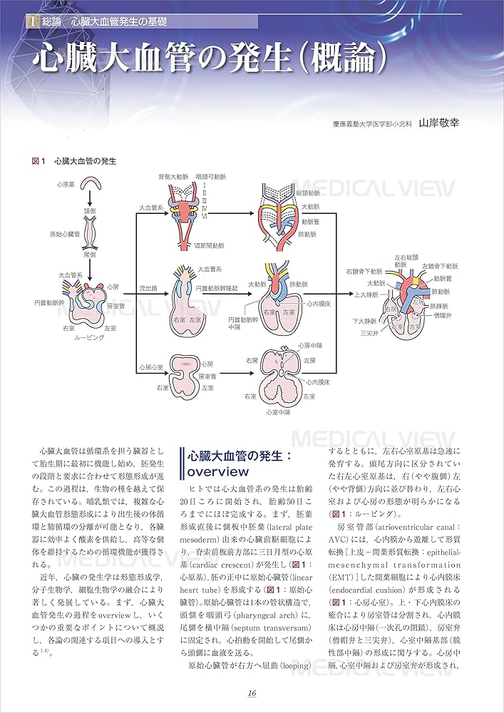 新 先天性心疾患を理解するための臨床心臓発生学 | 山岸 敬幸, 白石 公