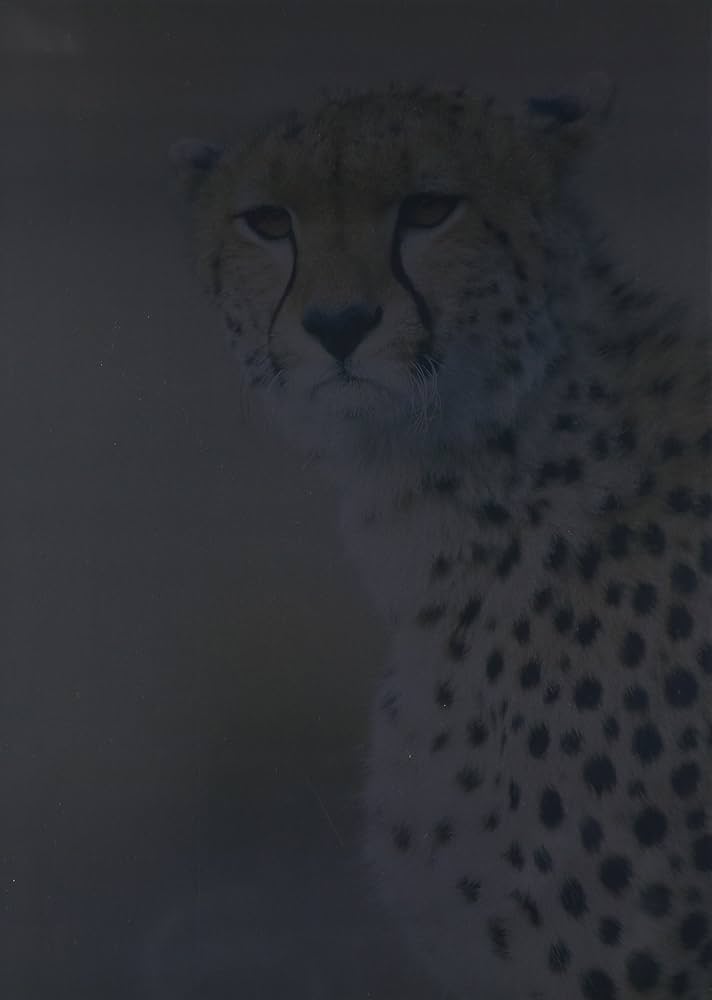 ケイン生物学(第5版) | Singh‐Cundy,Anu, Cain,Michael L., 慎治, 上村