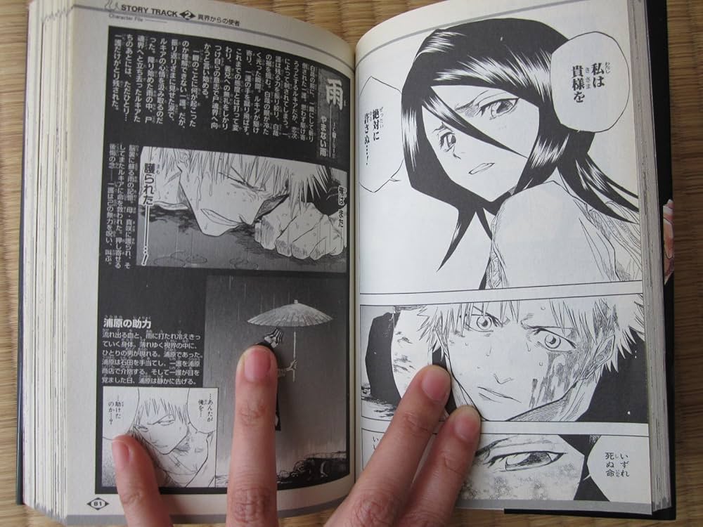 Amazon.co.jp: BLEACH―ブリーチ― OFFICIAL CHARACTER BOOK SOULs