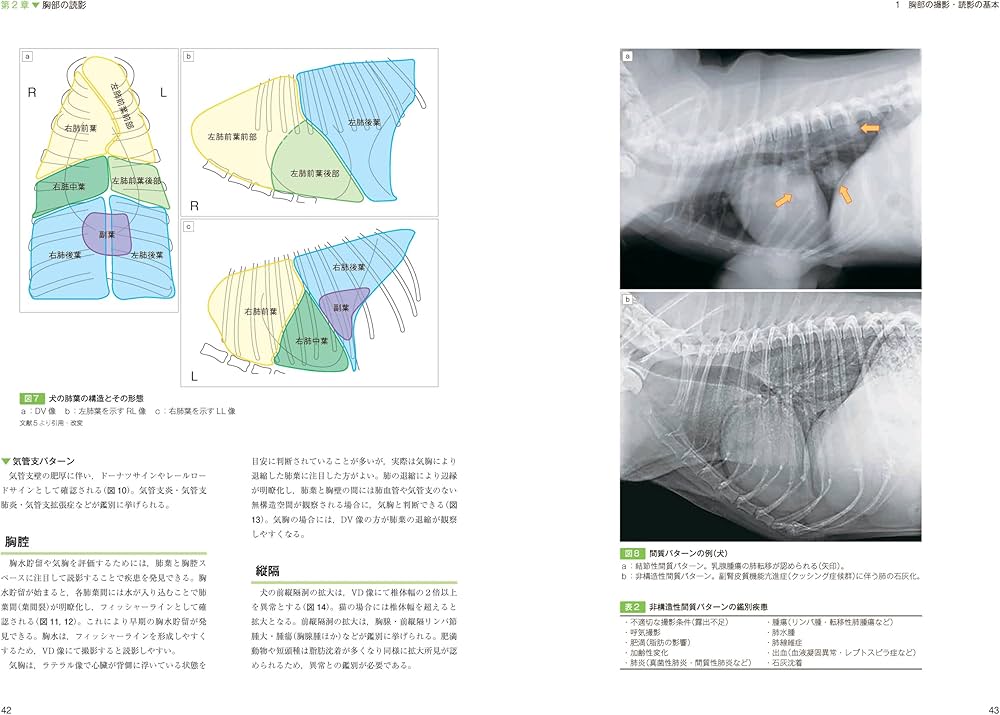思考プロセスを習得する犬と猫のX線読影 | 坂大 智洋, 上月 遥香, 中山
