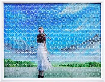 81YlvMIqaRL._AC_UF350,