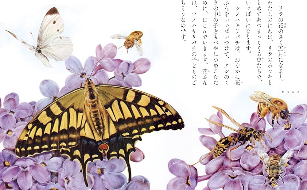 ファーブル昆虫記 (ビジュアル特別版) | ジャン＝アンリ・ファーブル