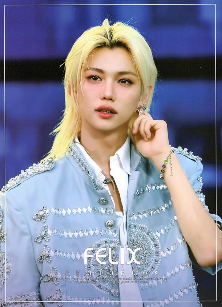 Amazon.co.jp: Felix フィリックス グッズ 写真集 Premium Photo Book