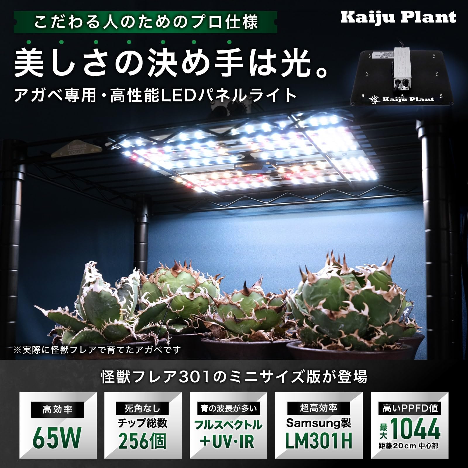 Amazon.co.jp: Kaiju Plant 怪獣フレア301 Sサイズ(26cm x 26cm) 65W
