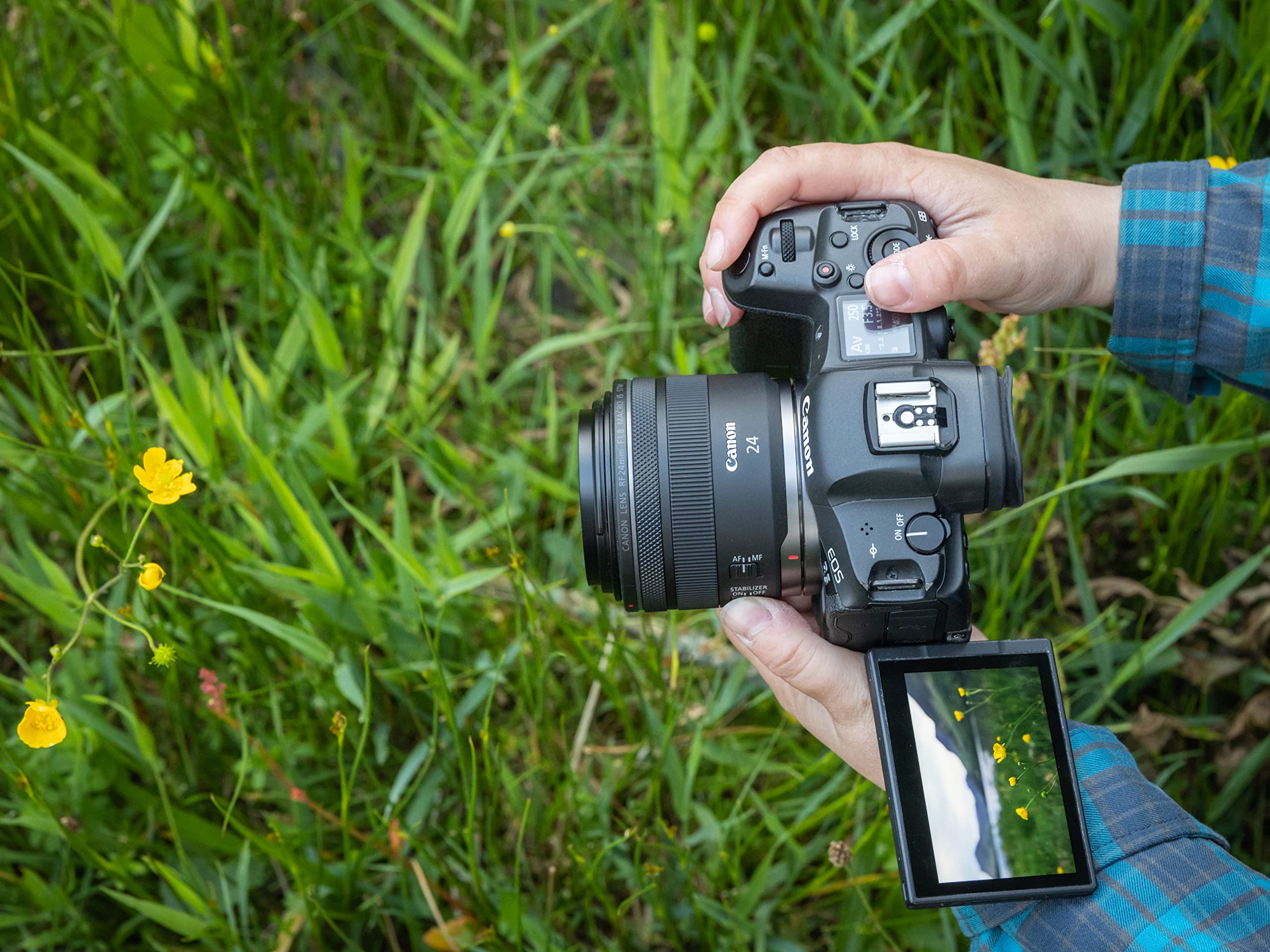 Amazon.co.jp: Canon RF24mm F1.8 MACRO IS STM キヤノン 単焦点