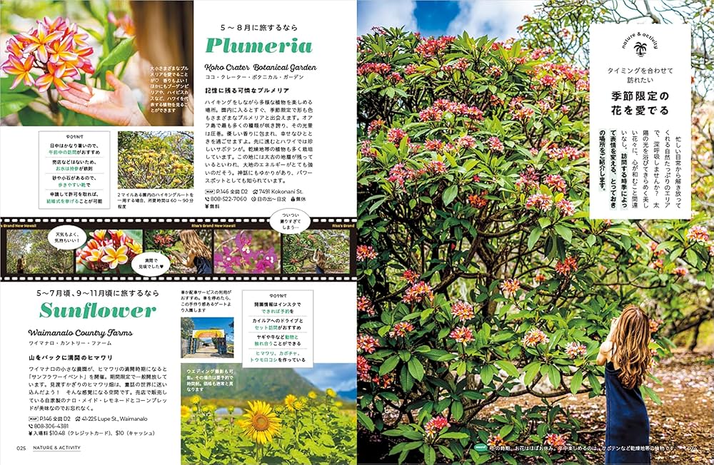 BRAND NEW HAWAII とびきりリアルな最新ハワイガイド