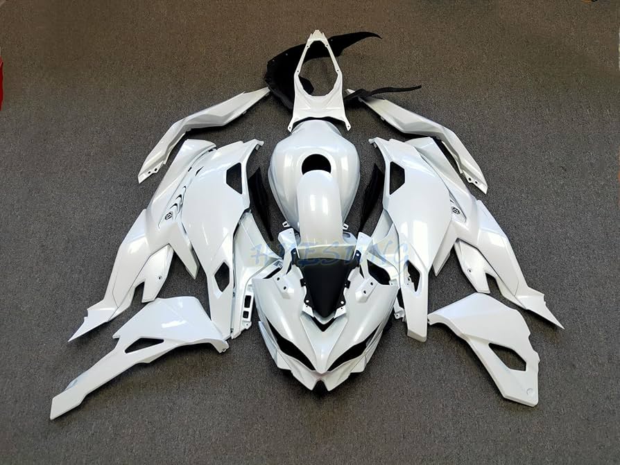 Amazon | HYESUNG バイク外装 適合車種 ZX25R ZX4R ZX4RR 2020-2025用