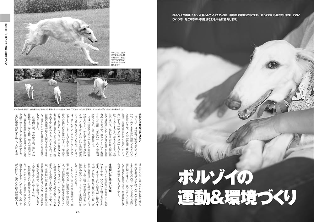 Amazon.co.jp: ボルゾイの事典: 性格、飼育、沿革、繁殖まですべてが