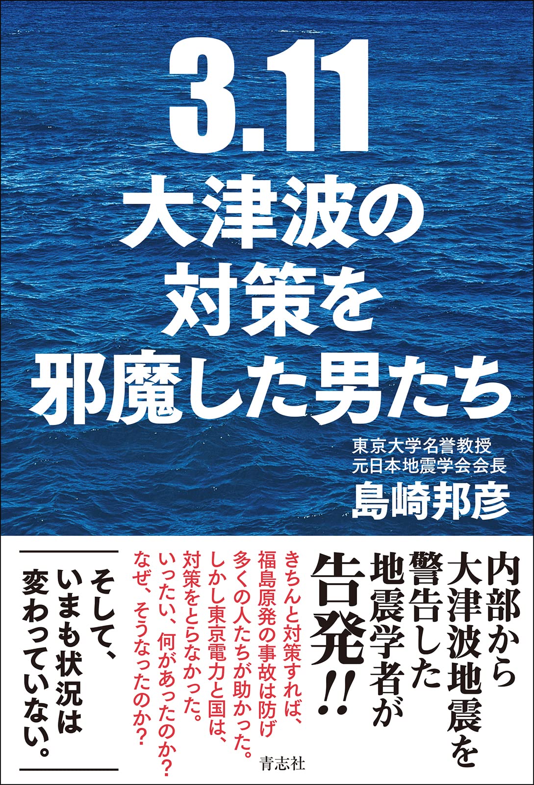 3.11 大津波の対策を邪魔した男たち | 島崎邦彦 |本 | 通販 | Amazon