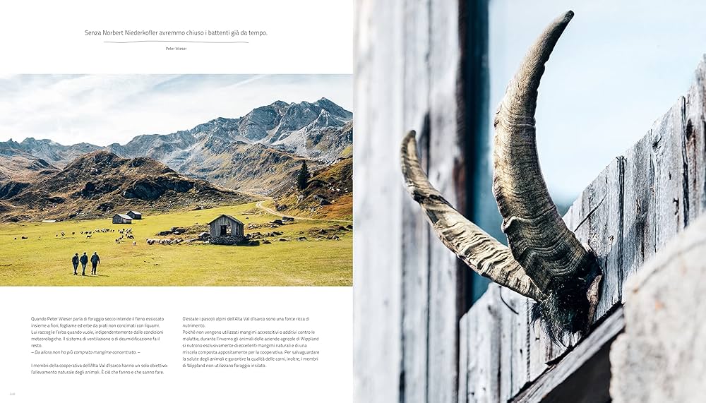 洋書 Cook the Mountain - Norbert Niederkofler Cook the Mountain