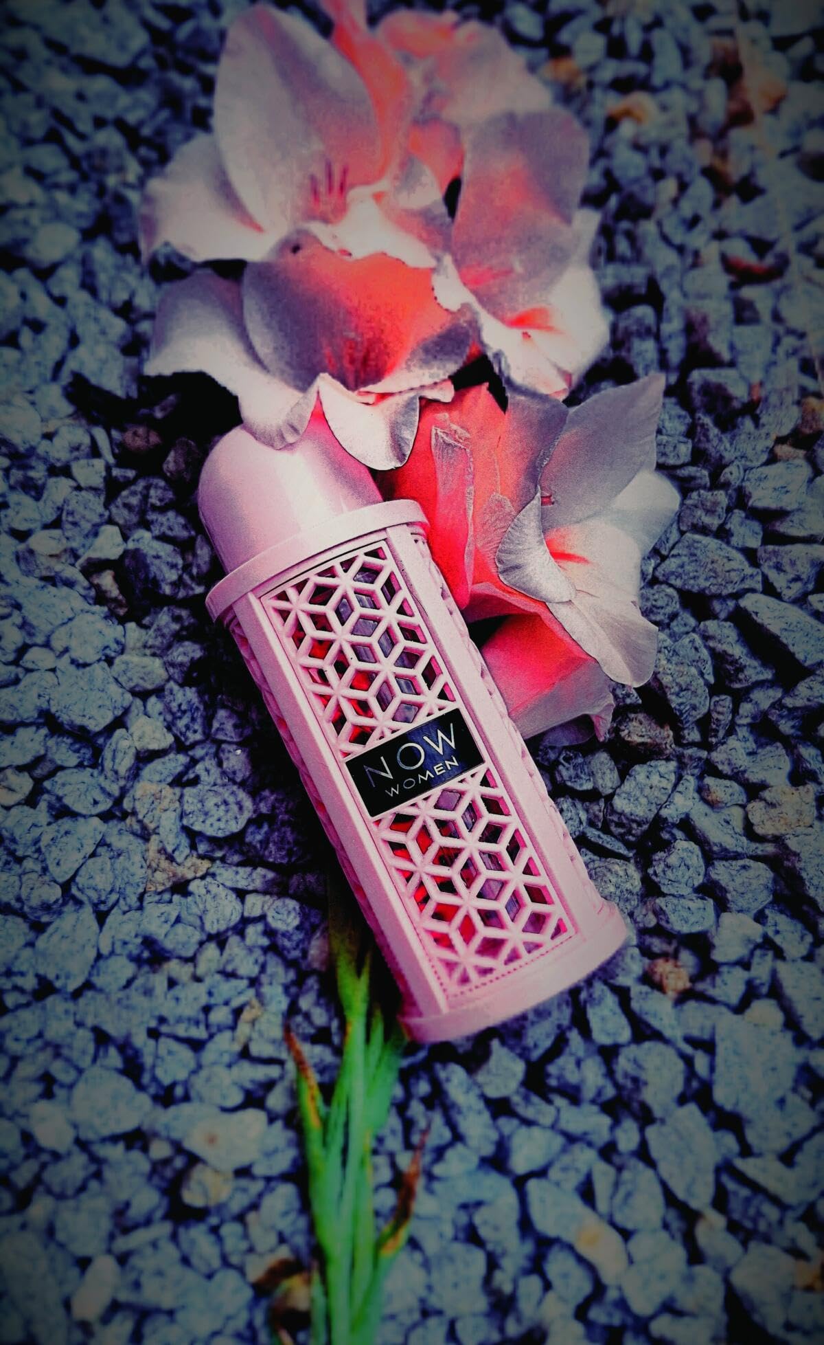 Amazon.com : RAVE Now Women Eau de Parfum for Women - 100 ml (3.4